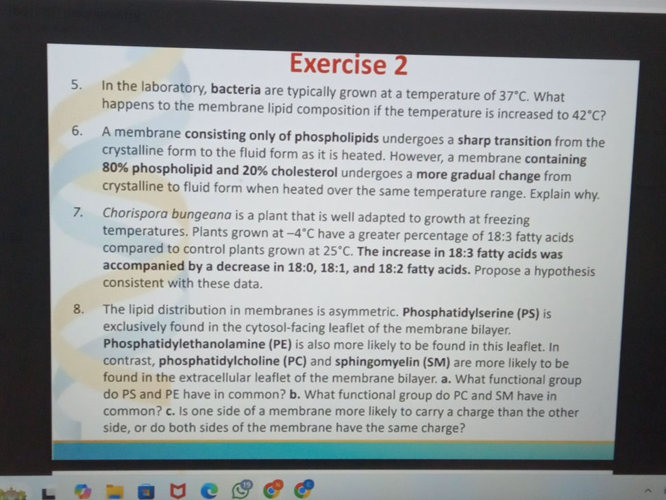 5. In the laboratory, bacteria are typically | StudyX
