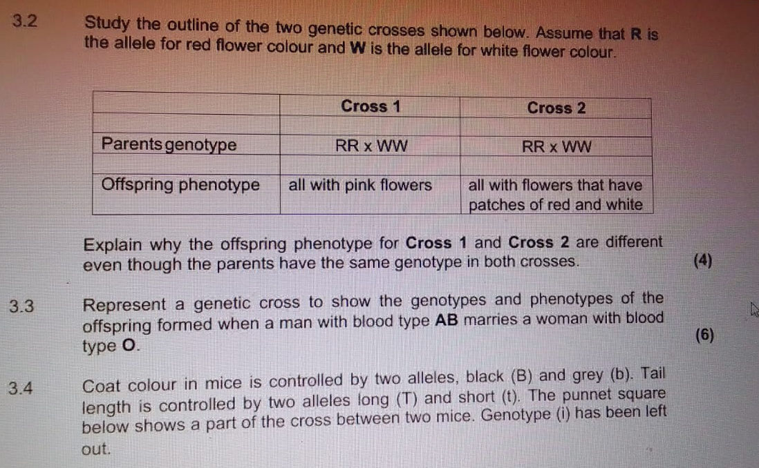 3. 2 Study the outline of the two genetic | StudyX