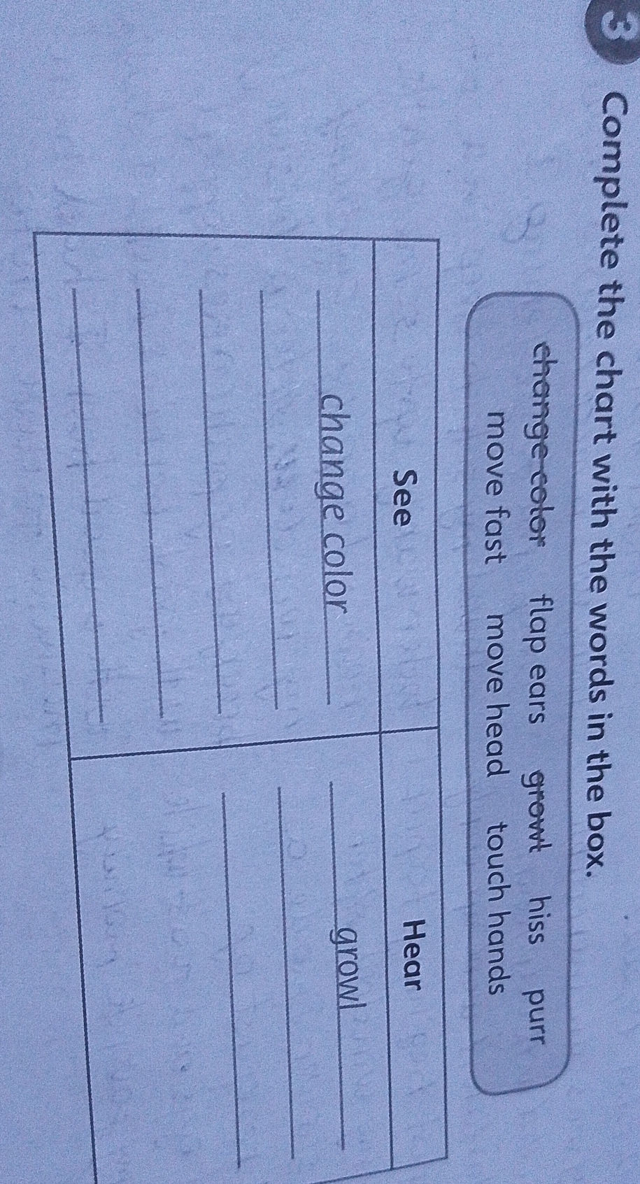 3. Complete the chart with the words in the | StudyX