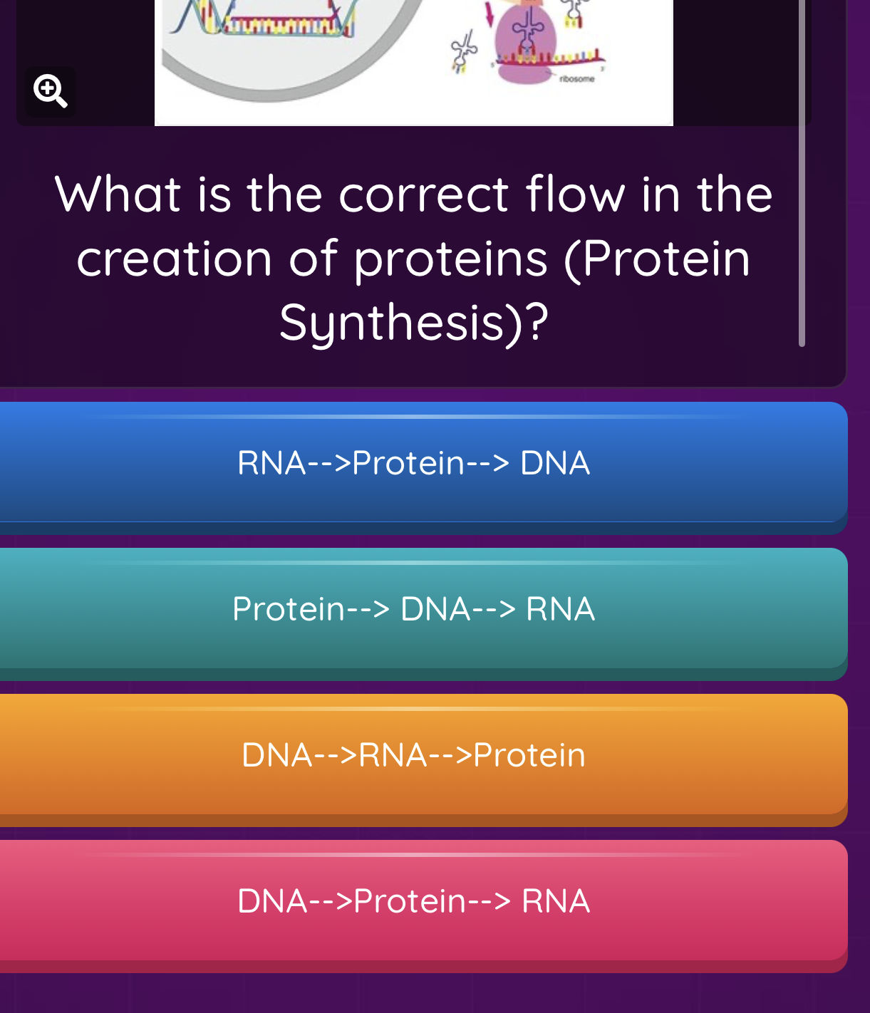 Protein Flow What is the correct flow in the creation of | StudyX