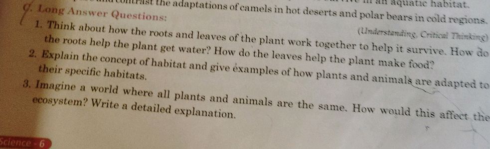 The Roots Bio Questions Long Answer Questions: 1. Think about how | StudyX