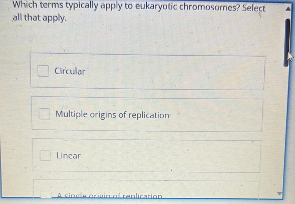 Which terms typically apply to eukaryotic | StudyX