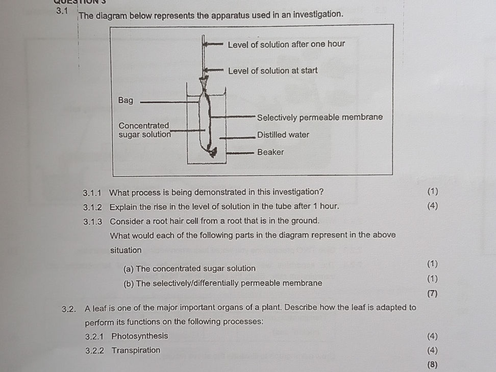 3.1 The diagram below represents the | StudyX