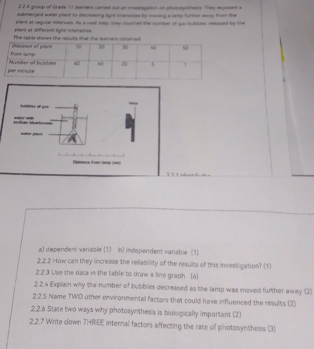 2.2 A group of Grade 11 learners carried out | StudyX
