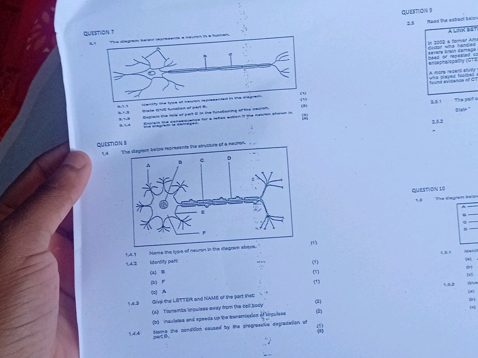 QUESTION 7 The diagram below represents a | StudyX
