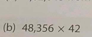 Multiplication Problem: 48,356 x 42 | StudyX