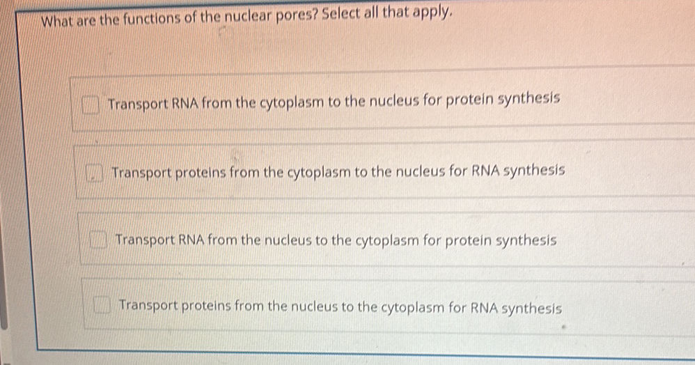 What are the functions of the nuclear pores?