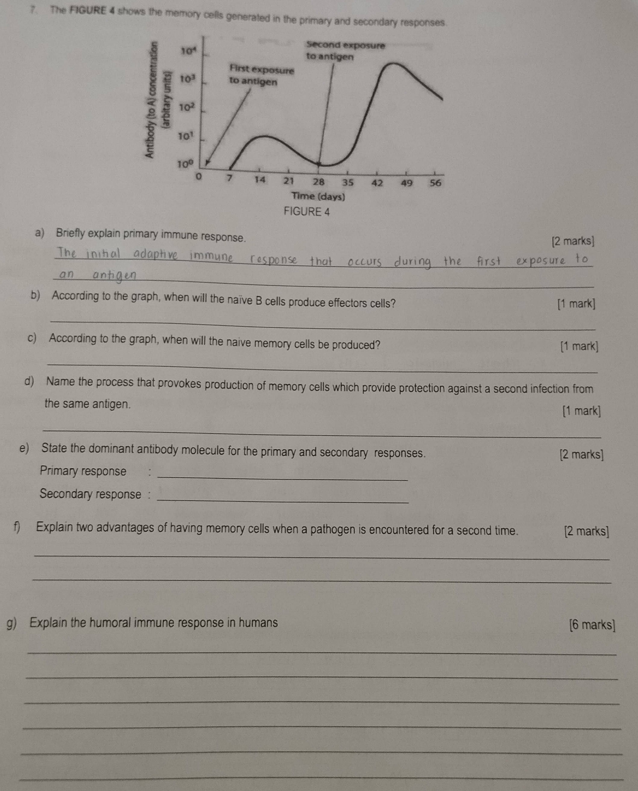 7 The Figure 4 Shows The Memory Cells Studyx