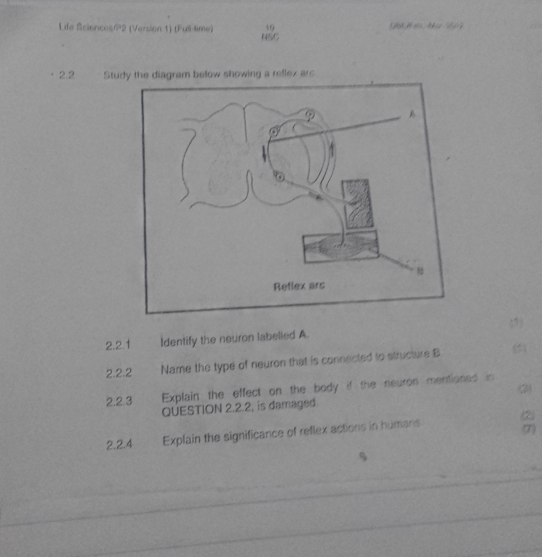 2.2 Study the diagram below showing a reflex | StudyX