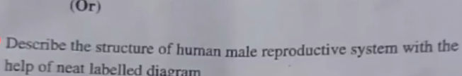 Describe the structure of human male | StudyX