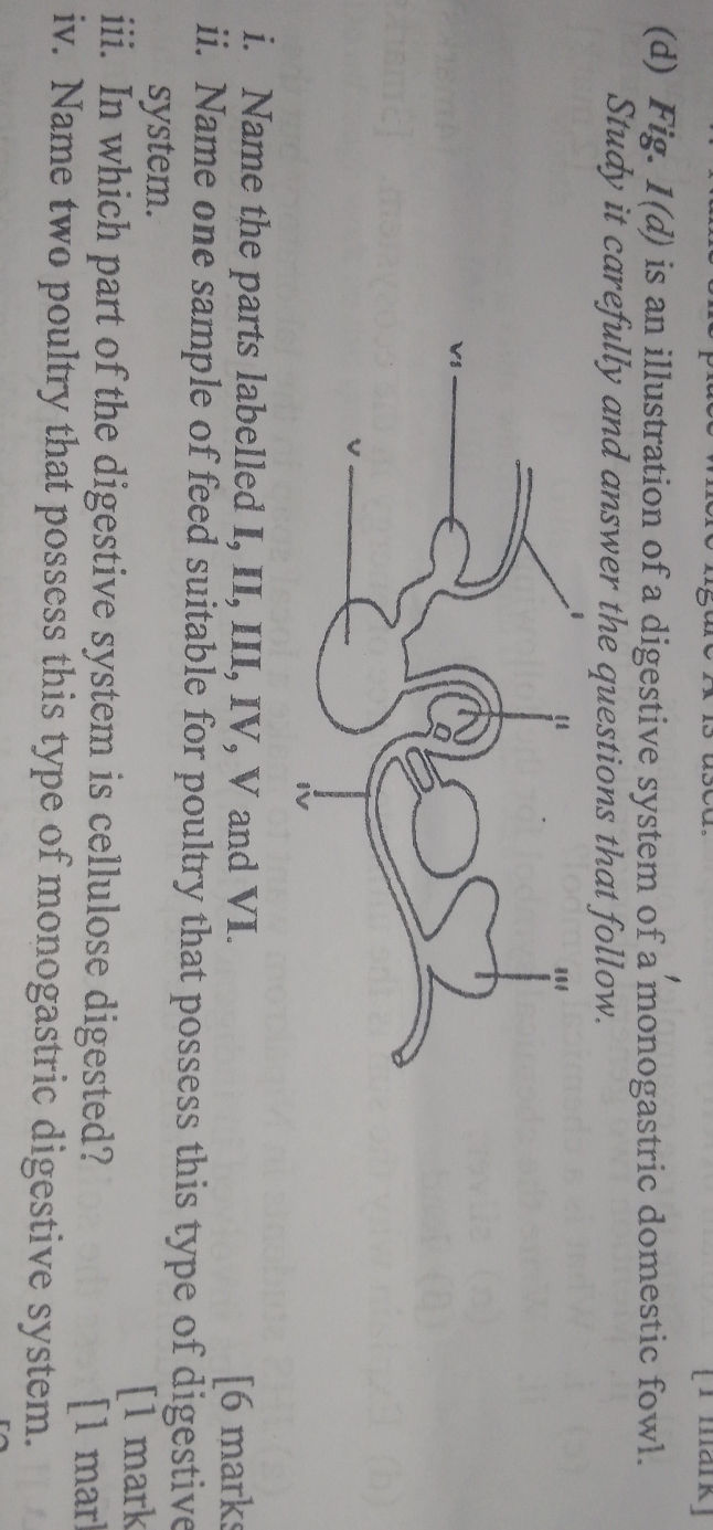 (d) Fig. 1(d) is an illustration of a | StudyX