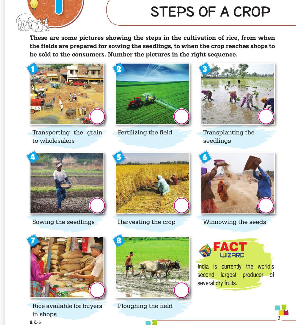 These are some pictures showing the steps in | StudyX