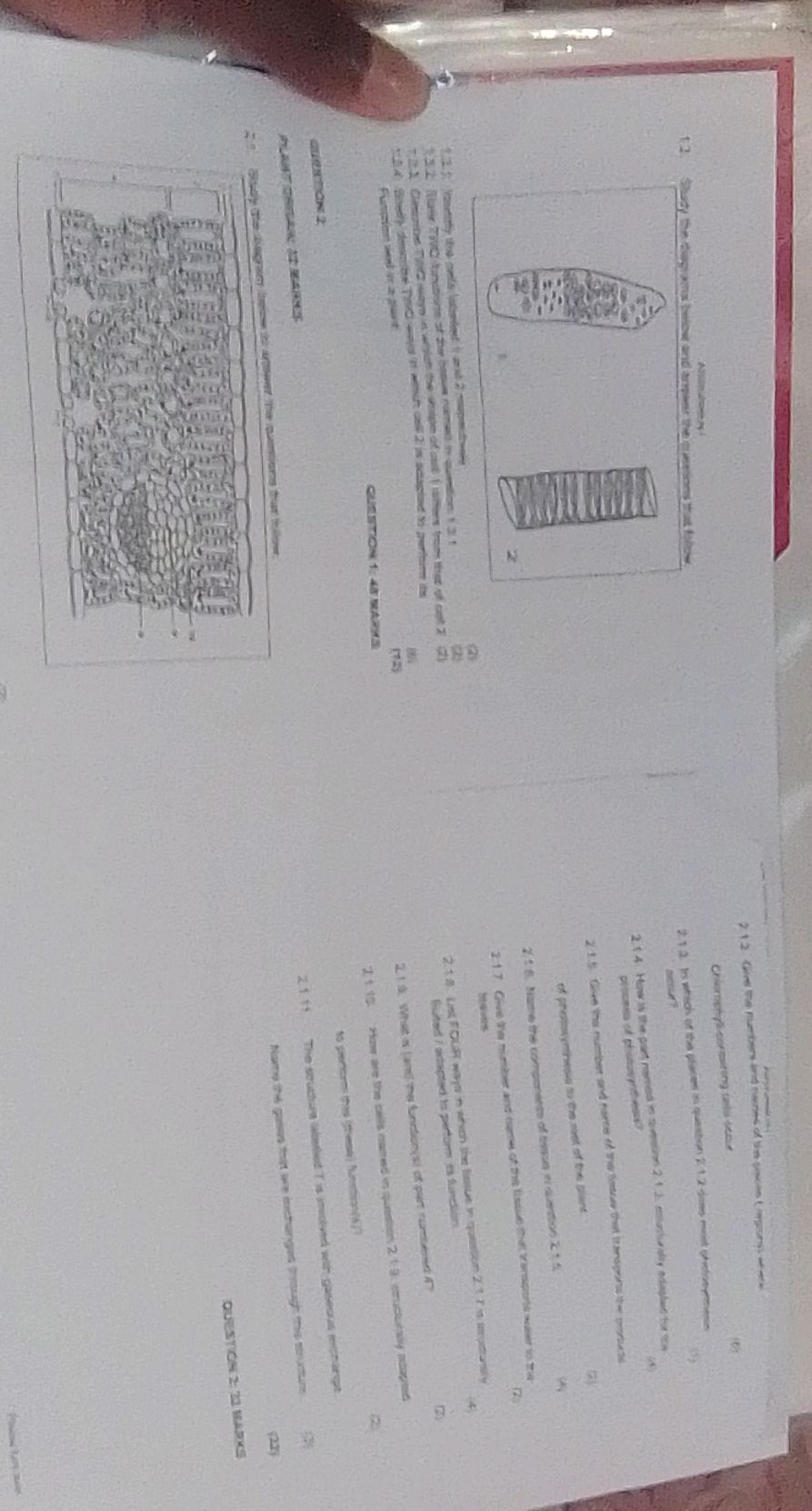 1.2 Study the diagram below and answer the | StudyX