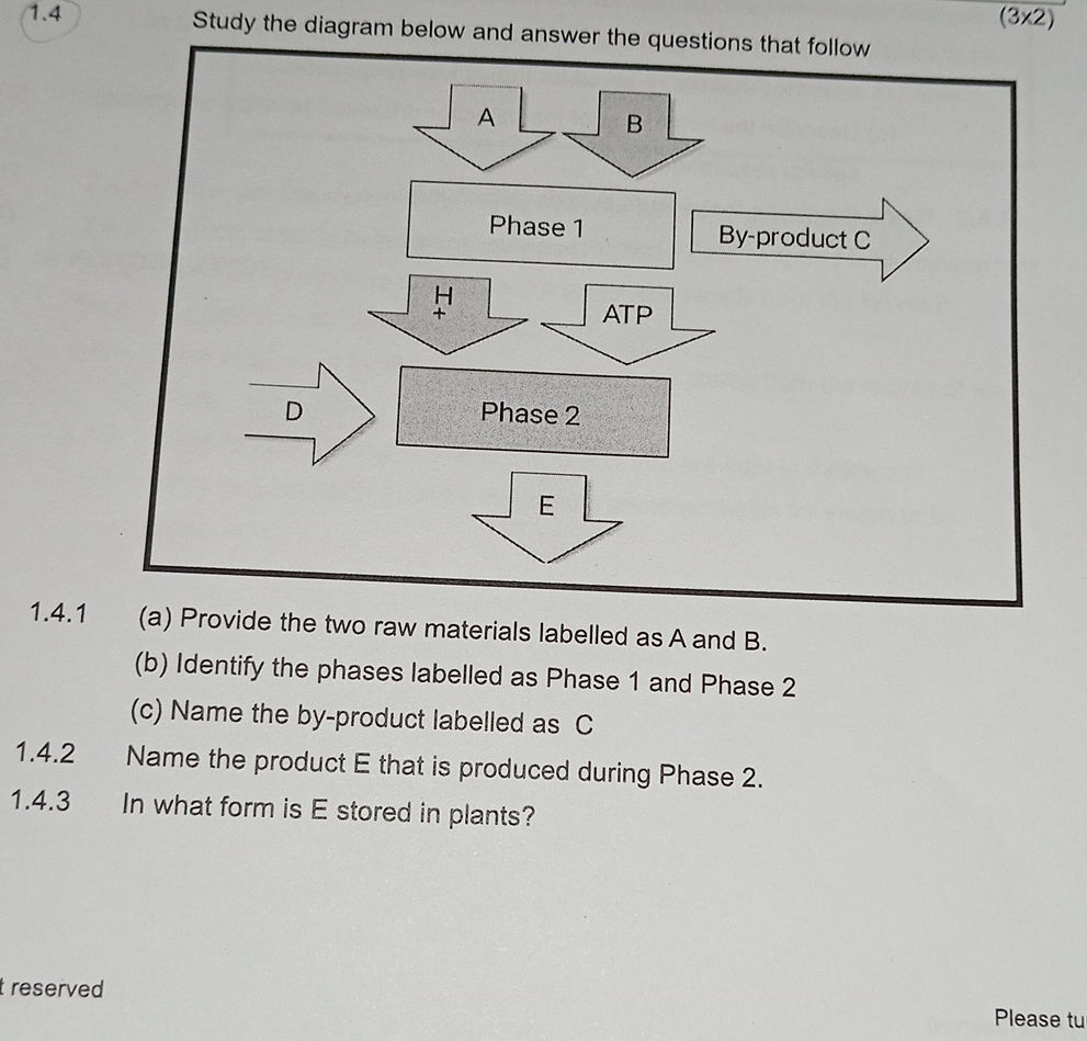 Study the diagram below and answer the | StudyX