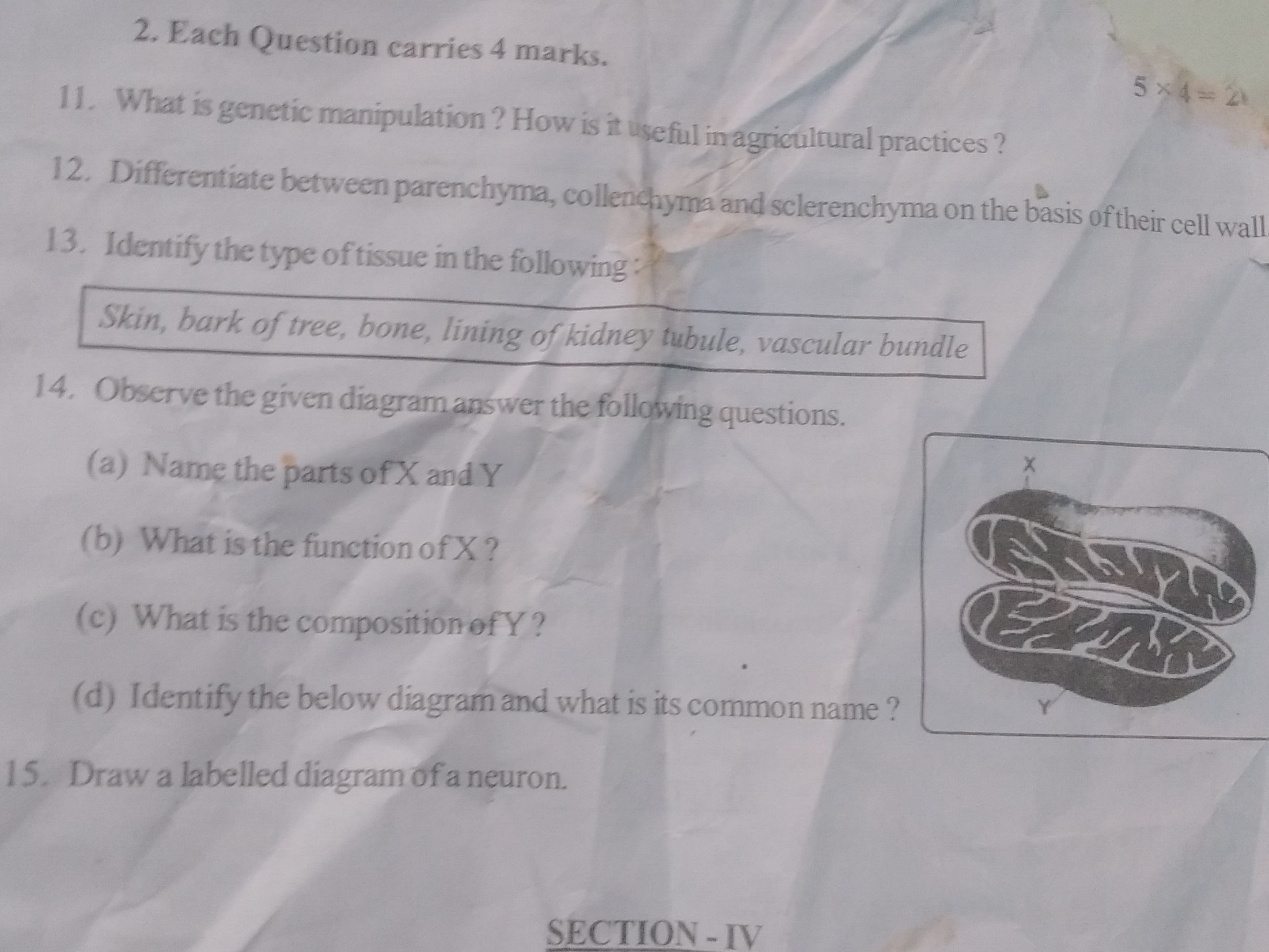Genetics visual data 8