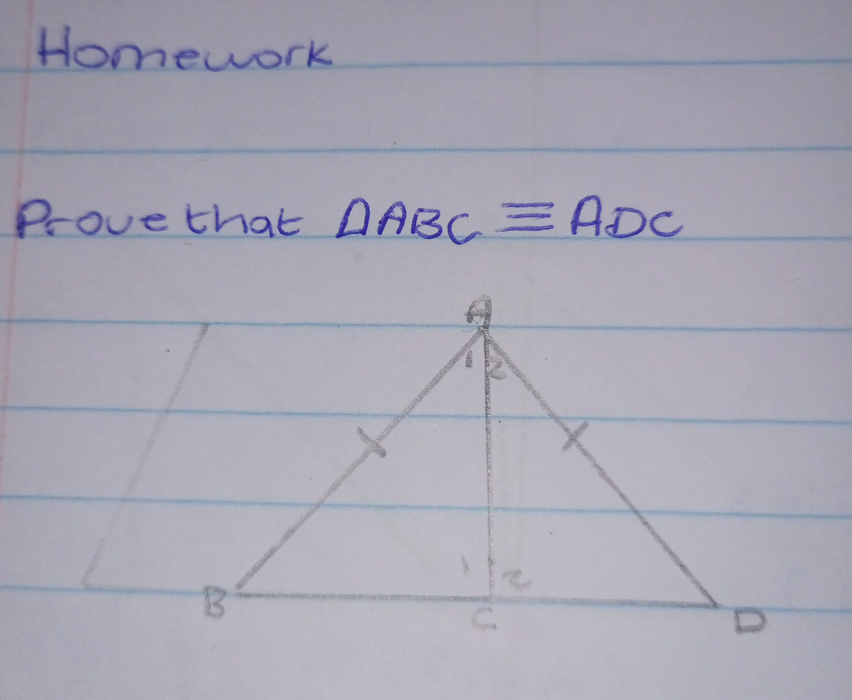 Prove Triangle Congruence | StudyX