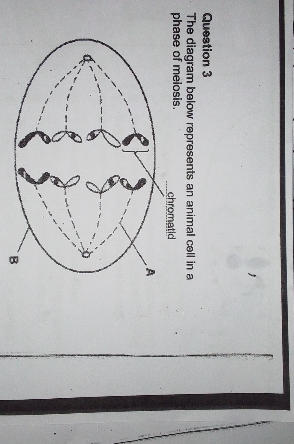 Question 3 The diagram below represents an | StudyX