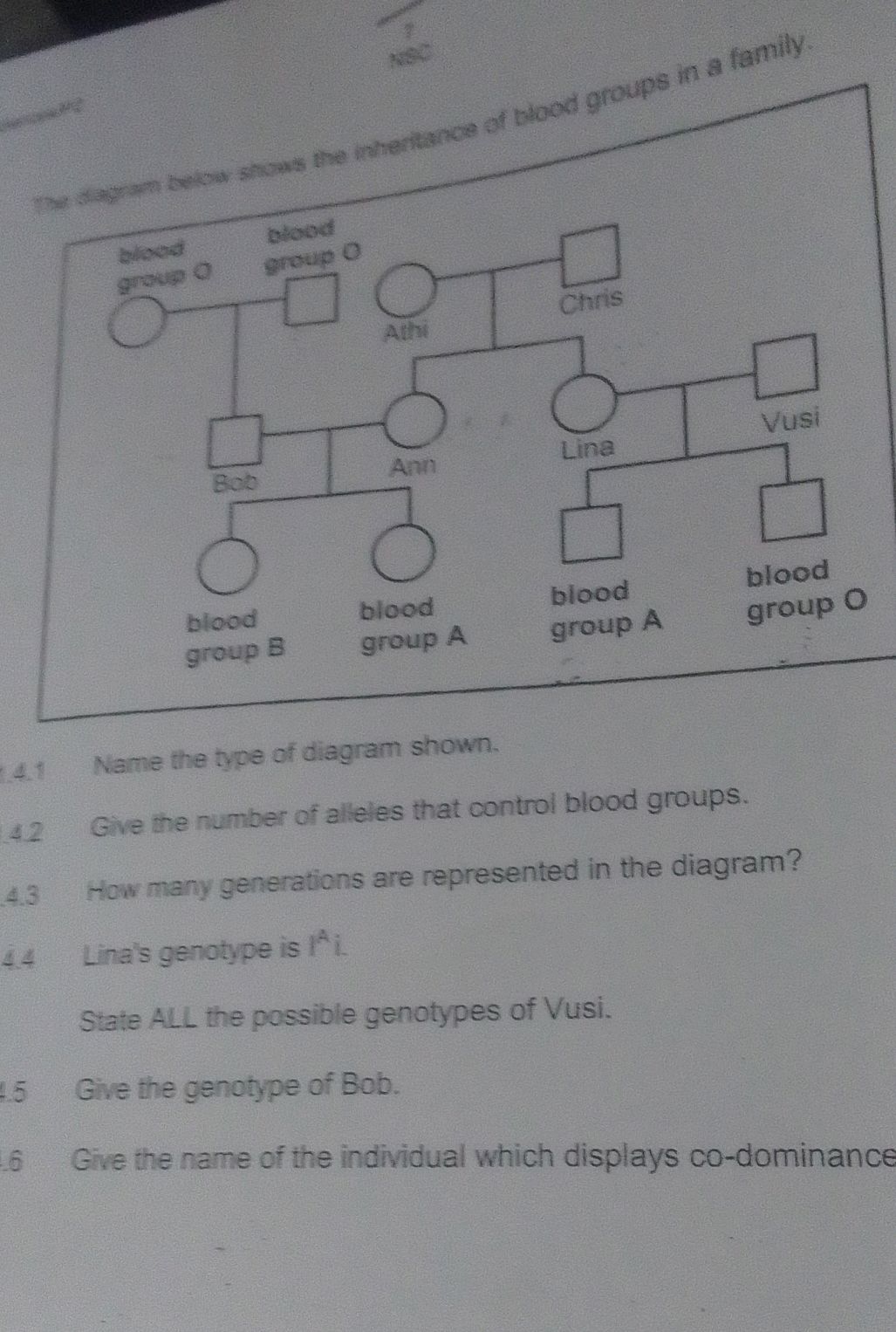 The diagram below shows the inheritance of | StudyX