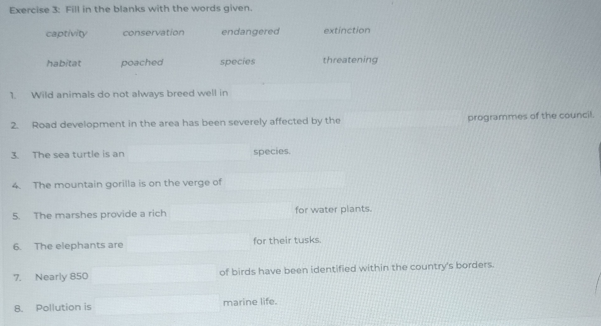Exercise 3: Fill in the blanks with the