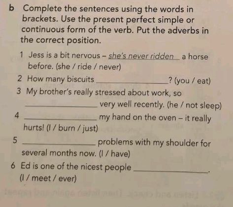 Complete the sentences using the words in | StudyX