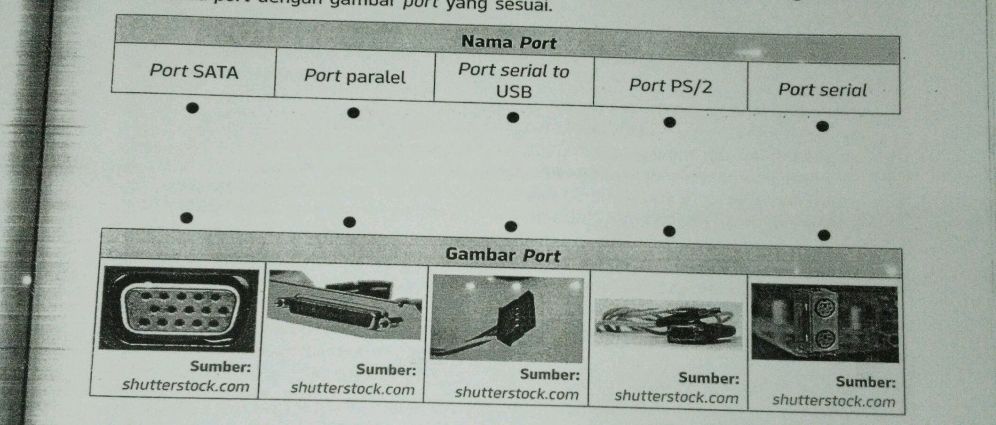 Nama Port | | | | | | StudyX