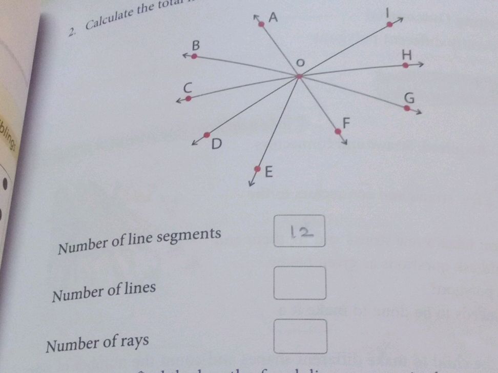 2. Calculate the total Number of line | StudyX