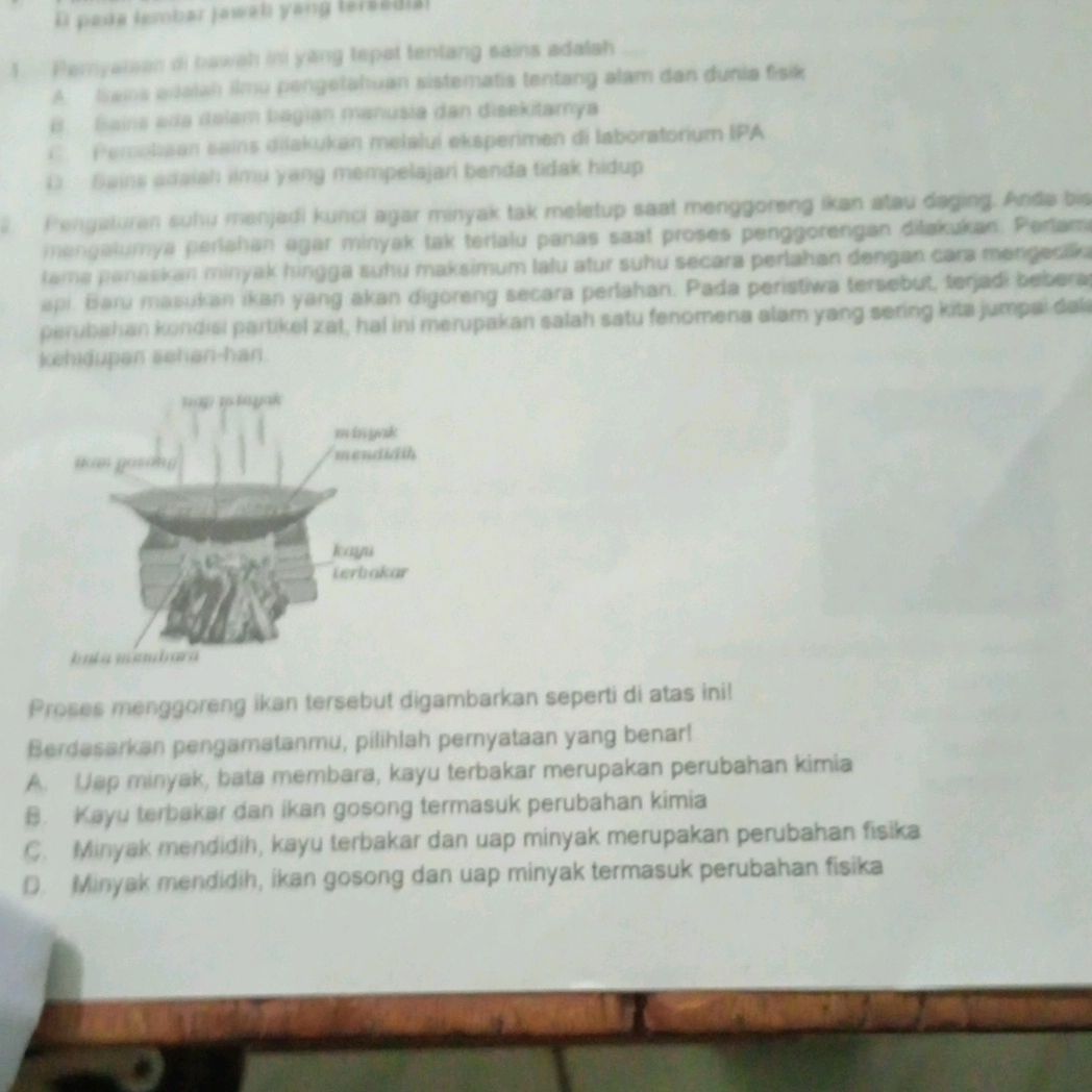 Proses menggoreng ikan tersebut digambarkan | StudyX