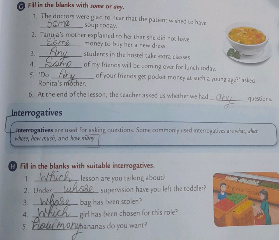 Fill in the blanks with some or any. 1. The | StudyX