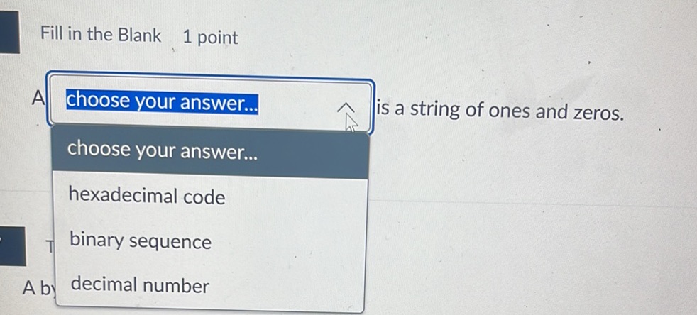 A ______ is a string of ones and zeros. | StudyX