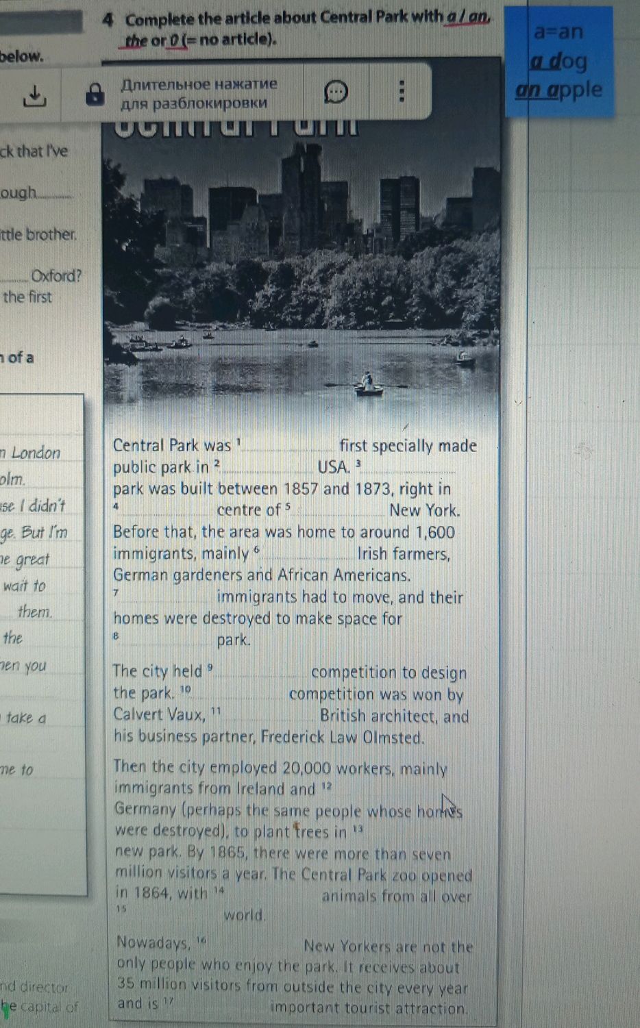 4 Complete the article about Central Park | StudyX