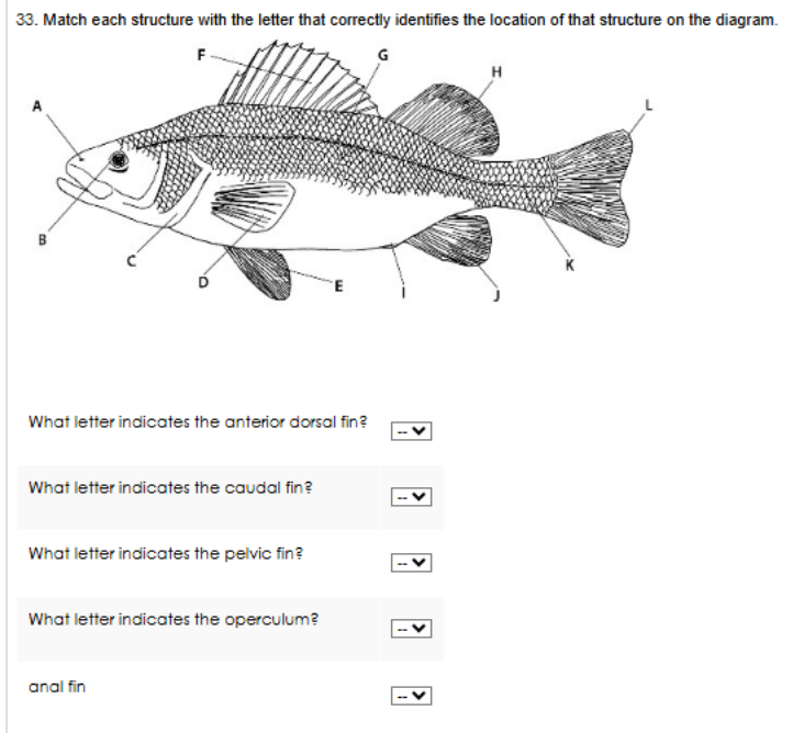 Match each structure with the letter that