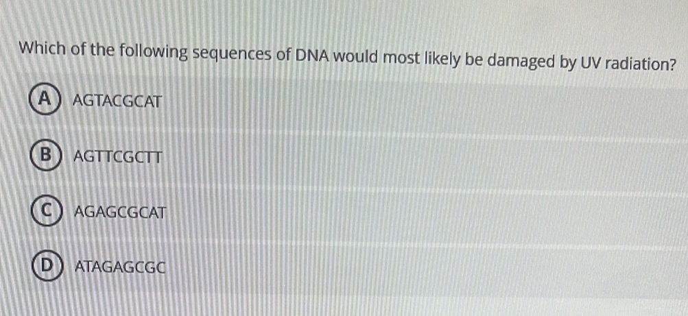 Dna Sequencing Notes.pdf Which of the following sequences of DNA