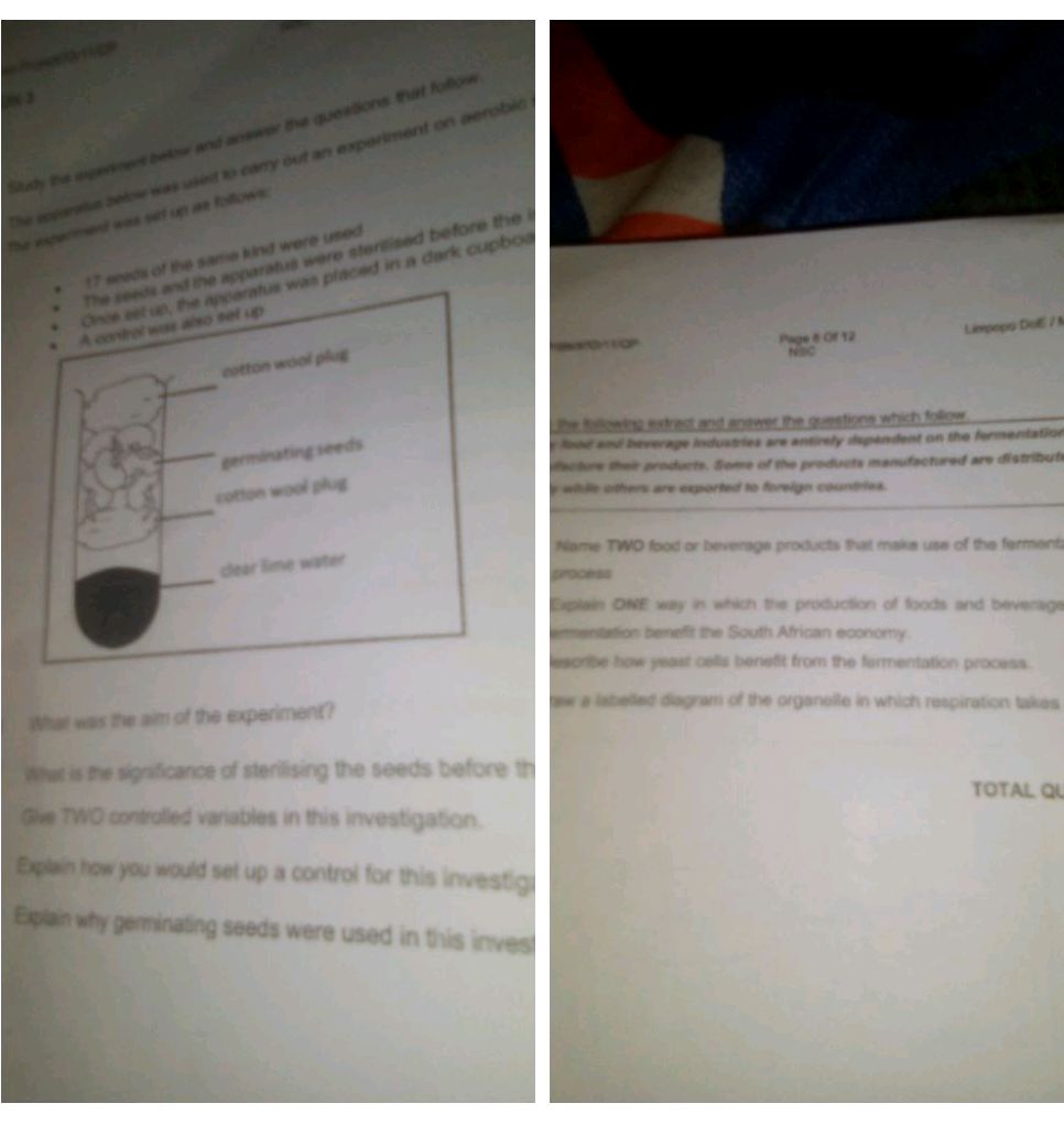 Study the experiment below and answer the | StudyX