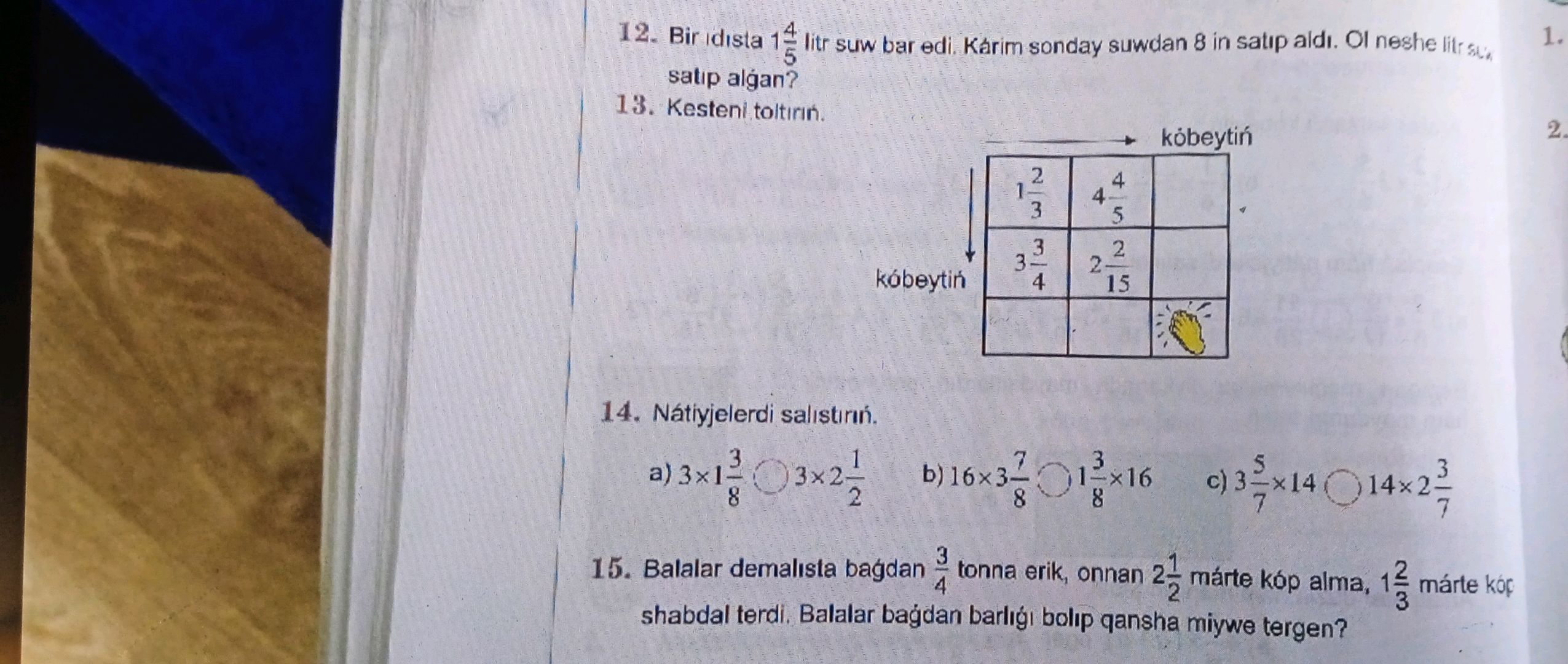 13-kesteni-tolt-r-n-k-beyti-studyx