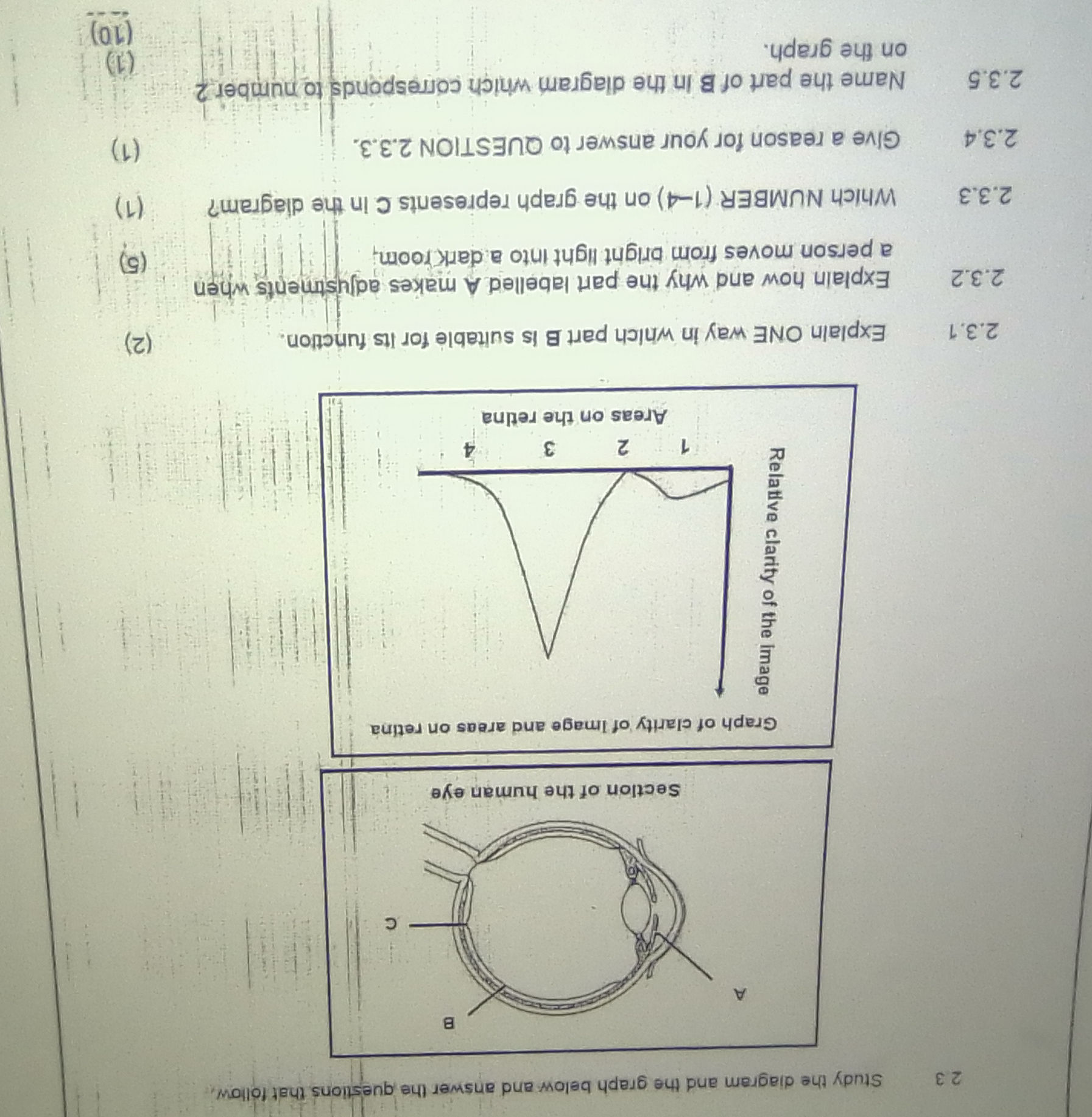 2. 3 Study the diagram and the graph below | StudyX