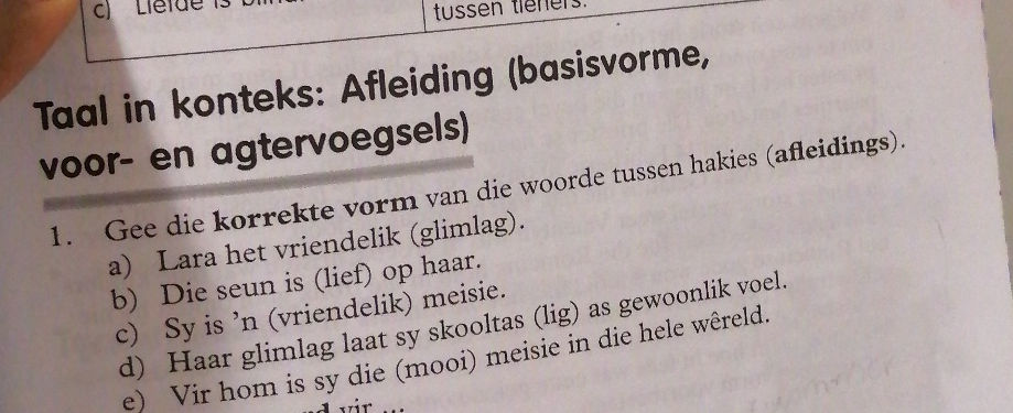 1 Gee Die Korrekte Vorm Van Die Woorde StudyX