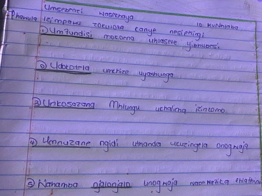 Phawula Umsebenzi Wasekhaya 10 Kunniaba Phawula | StudyX