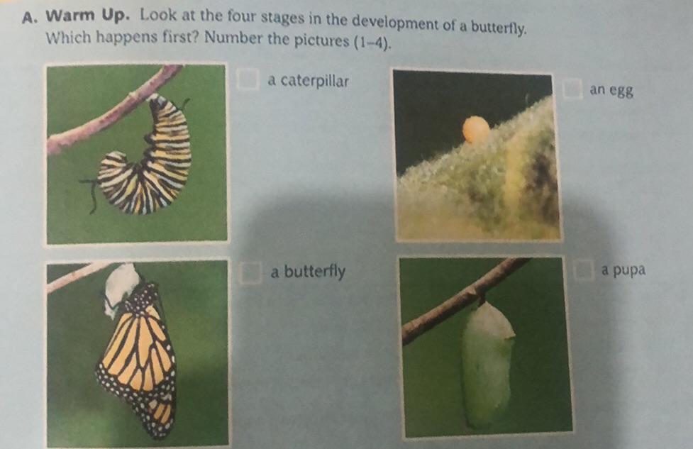 A. Warm Up. Look at the four stages in the | StudyX