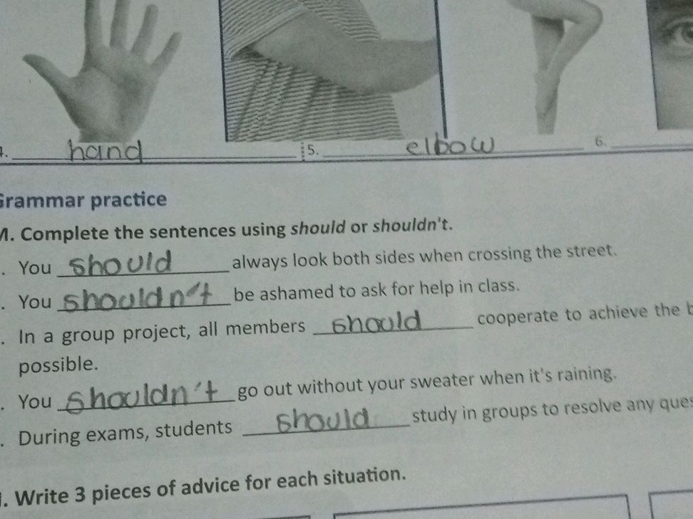 M. Complete the sentences using should or | StudyX