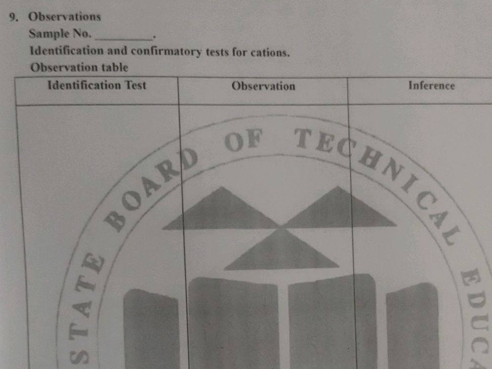 Ta Observation Examples 9. Observations Sample No. ______. | StudyX