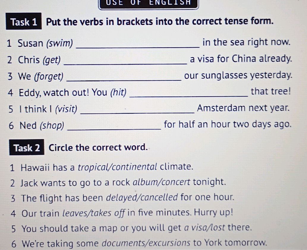 Task 1 Put the verbs in brackets into the | StudyX