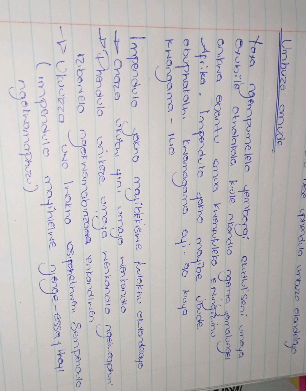 Sepmandulo Meaning Umbuzo omude bese uphendula umbuzo