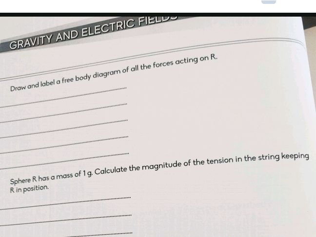 Draw and label a free body diagram of all | StudyX
