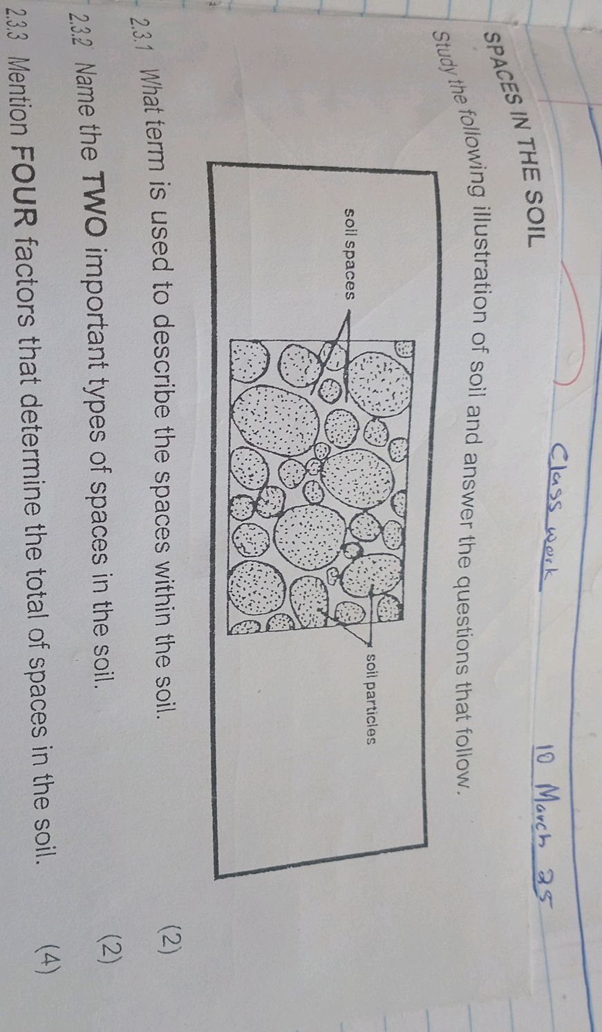 Study the following illustration of soil and | StudyX