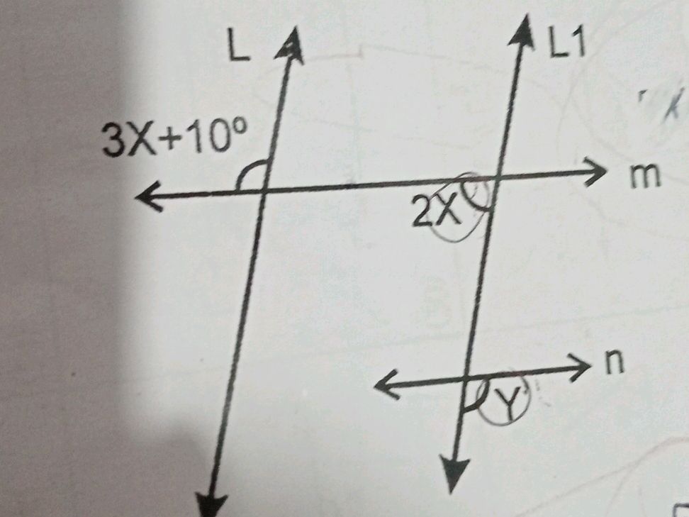 Line L Labeled Math The image shows two parallel lines L and L1