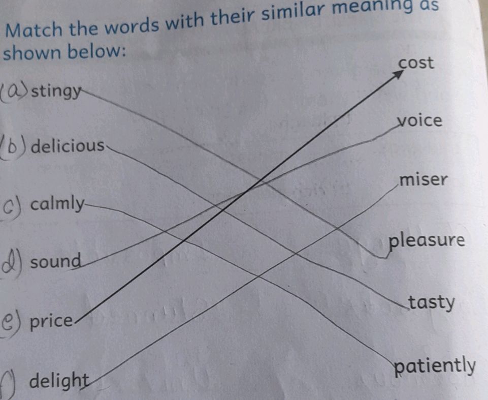 Match the words with their similar meaning | StudyX