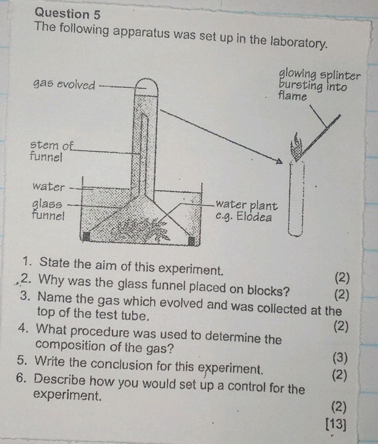 Question 5 The following apparatus was set | StudyX