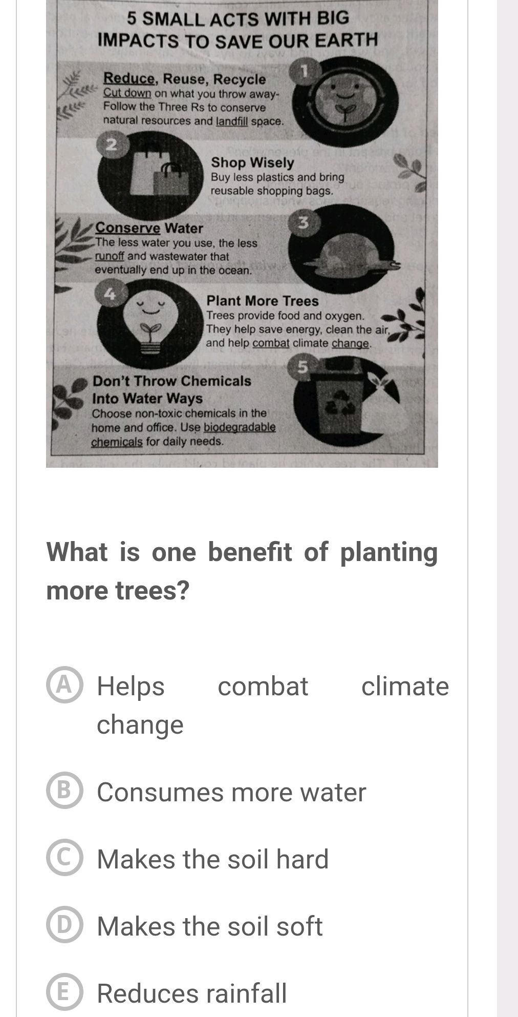 What is one benefit of planting more trees? | StudyX