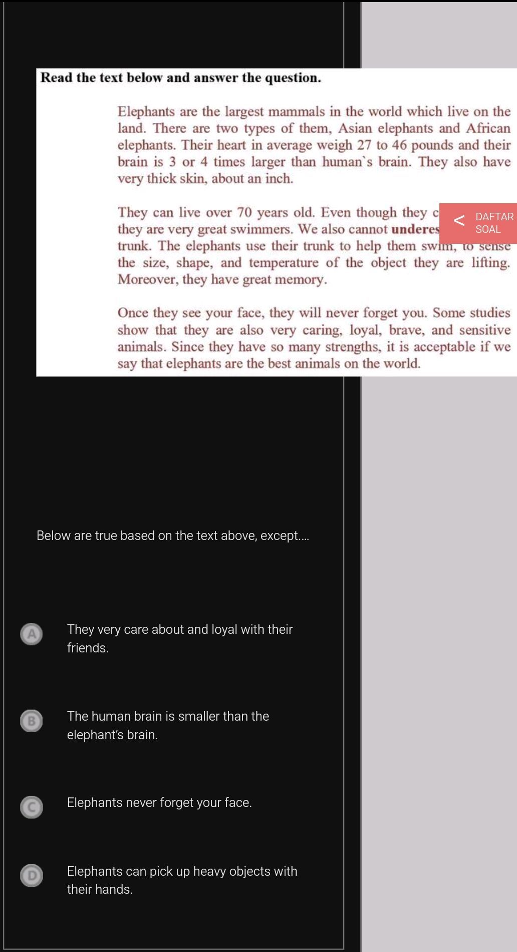 Read the text below and answer the question. | StudyX