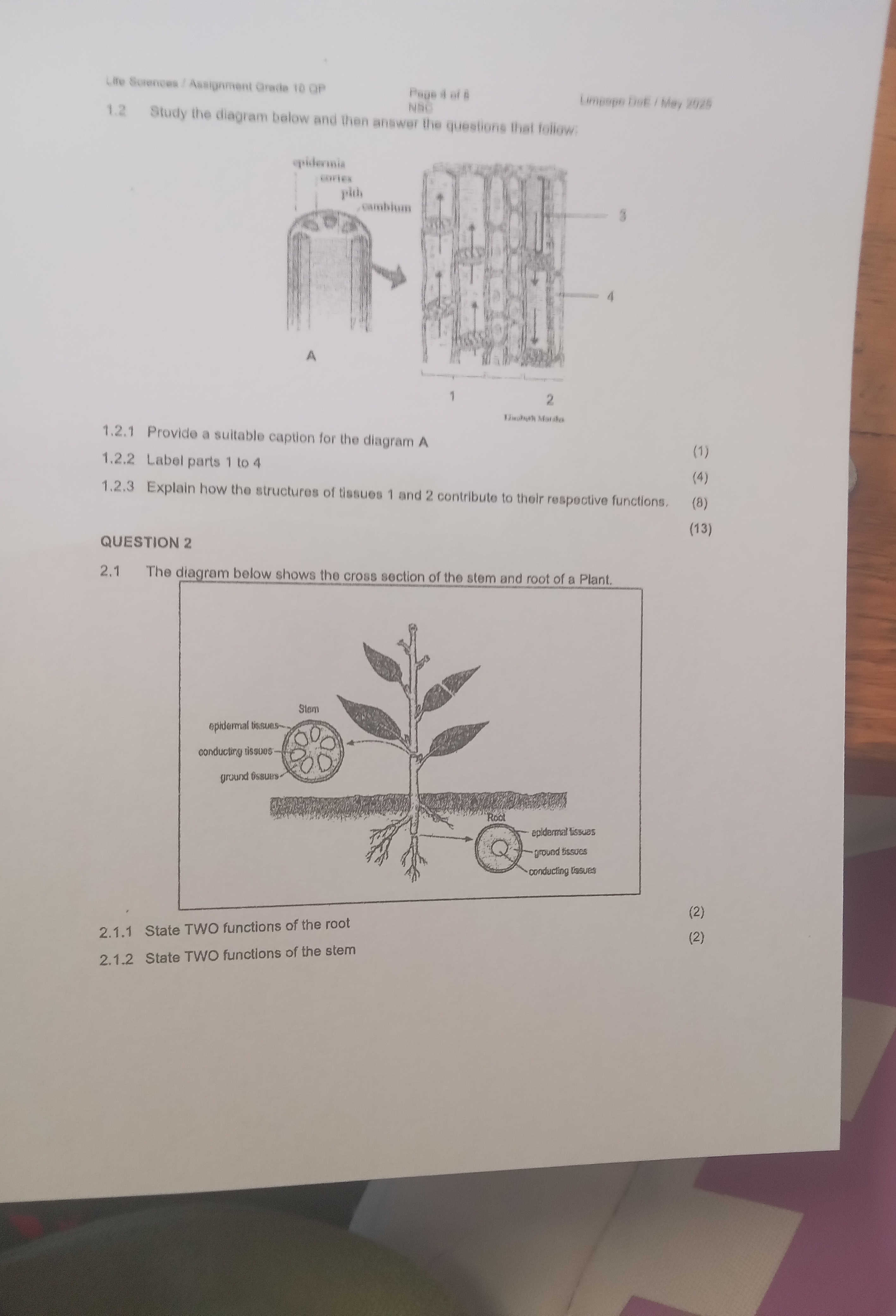 1.2 Study the diagram below and then answer | StudyX